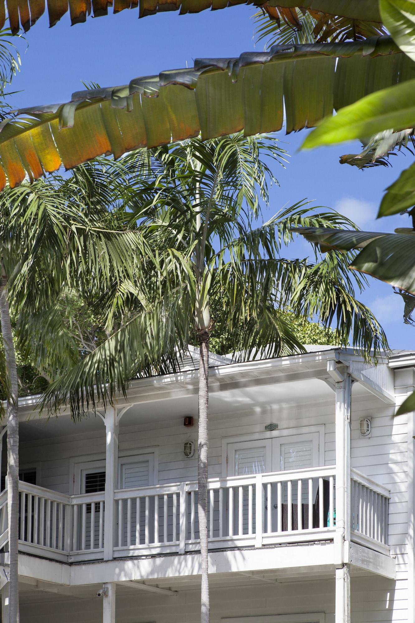 Paradise Inn - Adult Exclusive Key West Eksteriør bilde